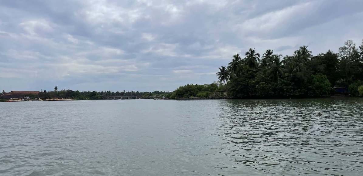 The Panchagangavalli estuary